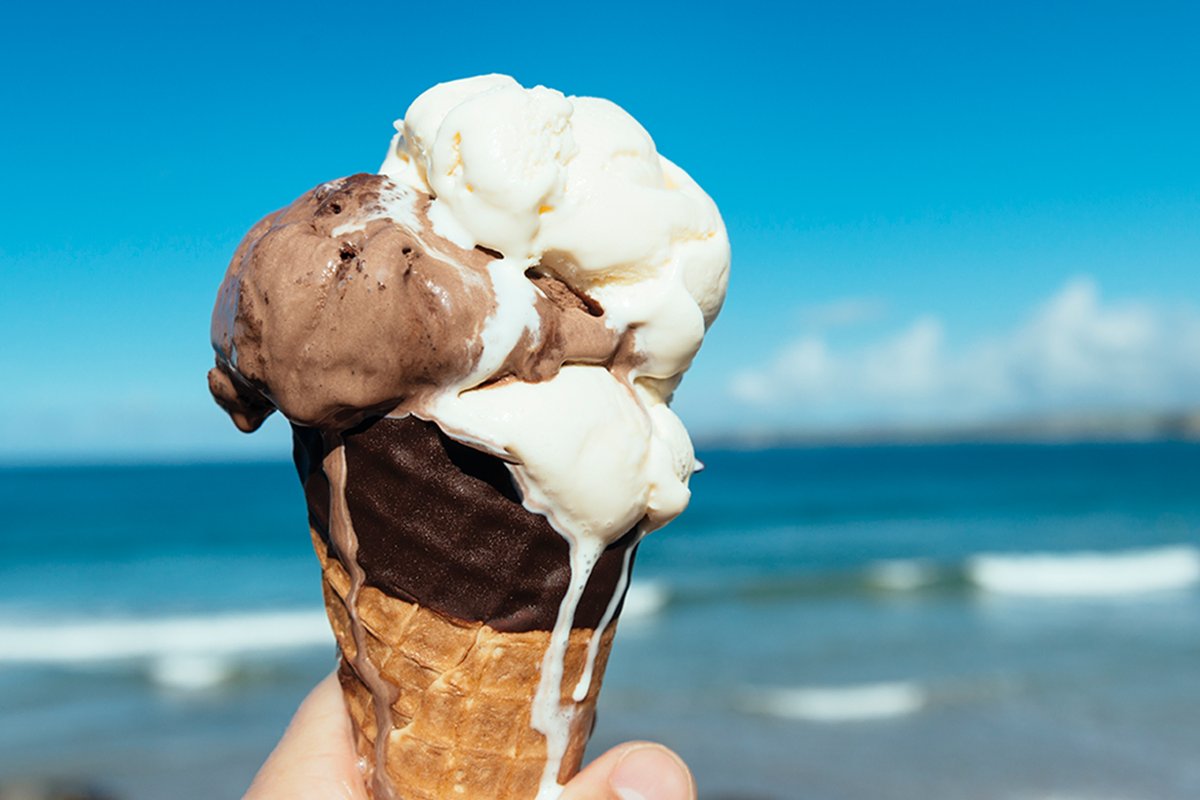 How Efficio helped refocus MEC3’s procurement