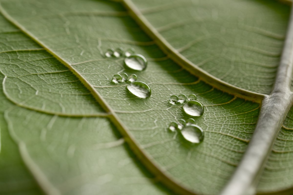 Recognising procurement as the catalyst for change