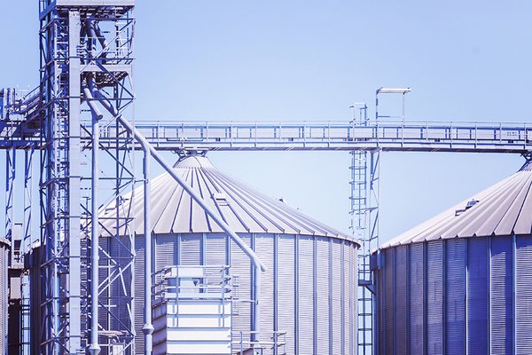 Transforming procurement in a global food business