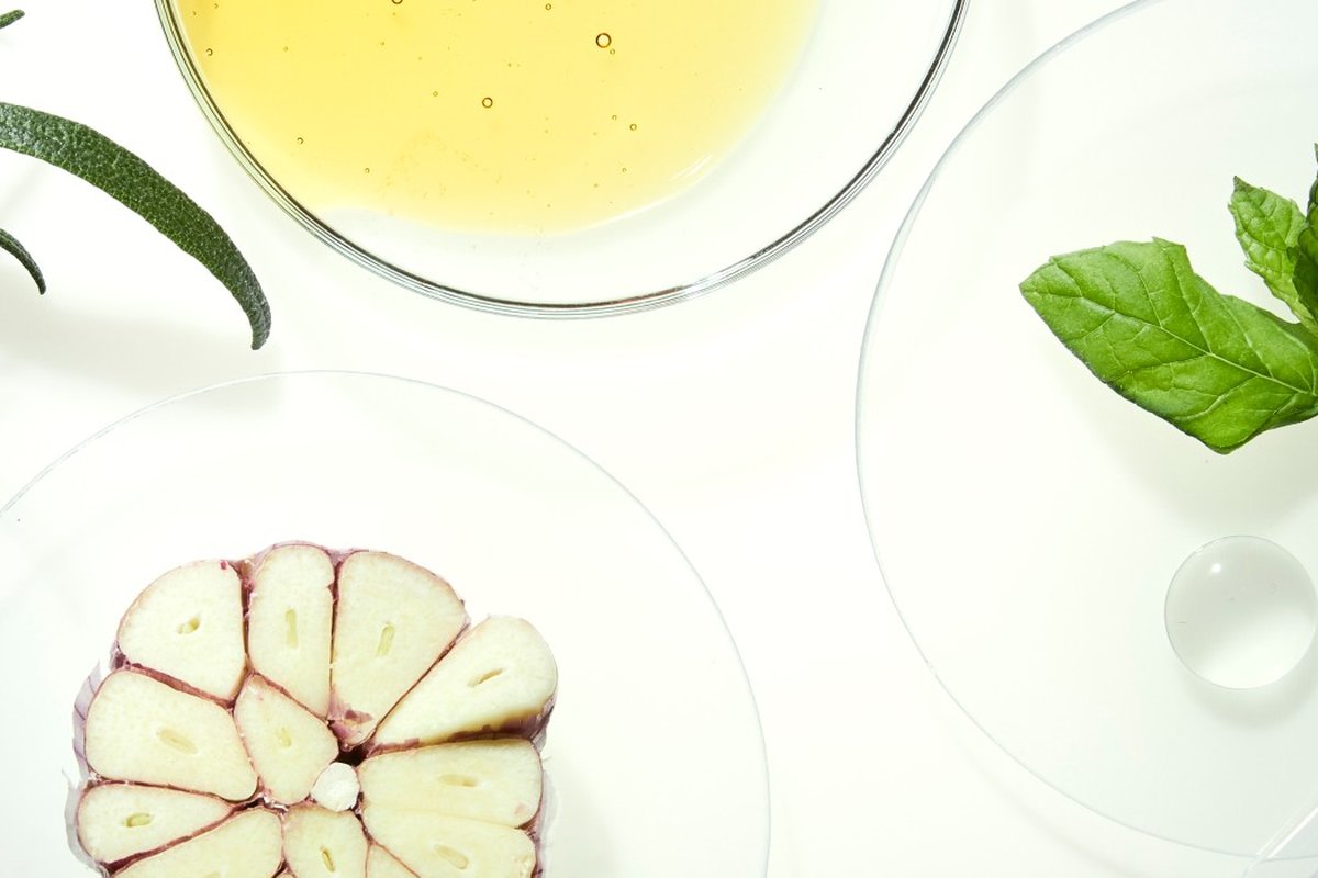 Implementing a procurement function for Foodiq, a fast-growing start-up