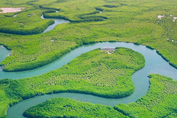 The CPO's 10-Step Guide to Sustainable Procurement