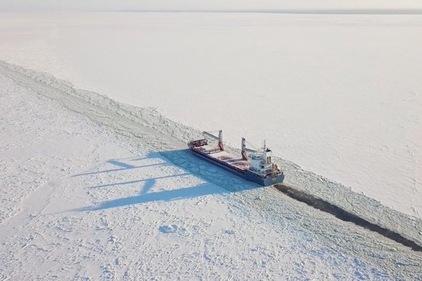 BRIDGING THE GAP: Procurement's vital role in making ESG strategy a reality