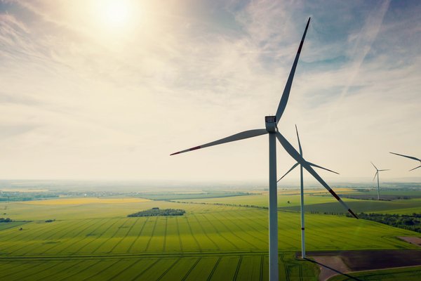 Category Insights & Outlook: Food & Agriculture