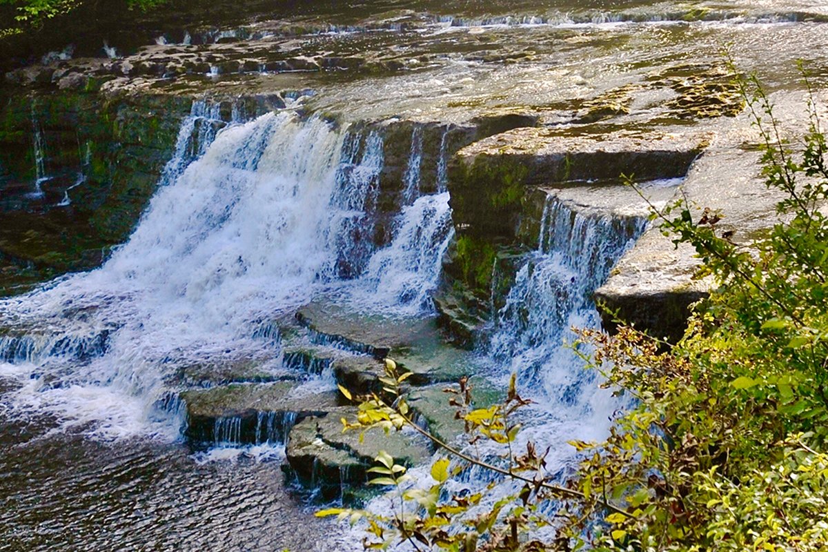 Value beyond cost: Yorkshire Water’s sustainable procurement transformation